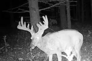 W5825 County Rd Z, Westfield, WI 53964 - Photo 62