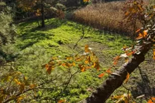 W5825 County Rd Z, Westfield, WI 53964 - Photo 68