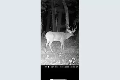 W5825 County Road Z, Westfield, WI 53964 - Photo 64