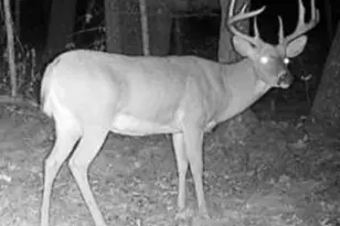 W5825 County Rd Z, Westfield, WI 53964 - Photo 64