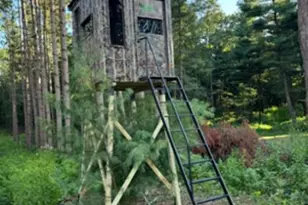 W5825 County Rd Z, Westfield, WI 53964 - Photo 66