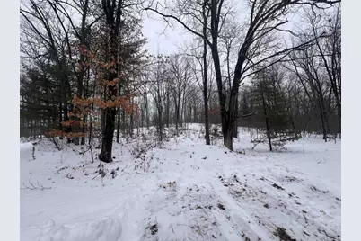 Nejedlo Lane, Wausaukee, WI 54177 - Photo 2