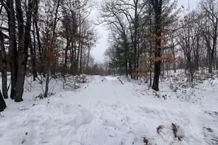 Nejedlo Ln, Wausaukee, WI 54177 - Photo 1