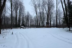 W17810 W Eland Rd, Wittenberg, WI 54499 - Photo 52