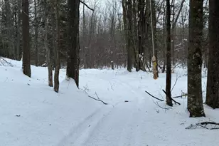 W17810 W Eland Rd, Wittenberg, WI 54499 - Photo 64