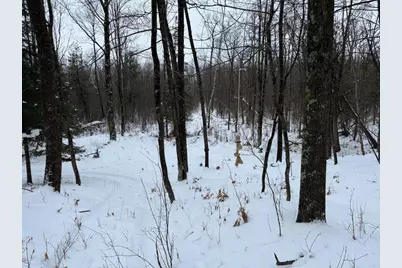 W17810 W Eland Road, Wittenberg, WI 54499 - Photo 58