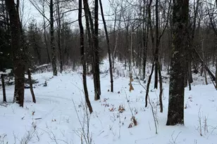 W17810 W Eland Rd, Wittenberg, WI 54499 - Photo 58