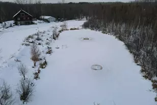 W17810 W Eland Rd, Wittenberg, WI 54499 - Photo 48