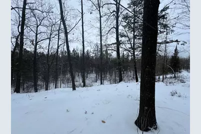 W17810 W Eland Road, Wittenberg, WI 54499 - Photo 84