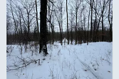 W17810 W Eland Road, Wittenberg, WI 54499 - Photo 56