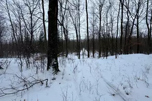 W17810 W Eland Rd, Wittenberg, WI 54499 - Photo 56