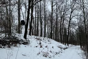 W17810 W Eland Rd, Wittenberg, WI 54499 - Photo 74