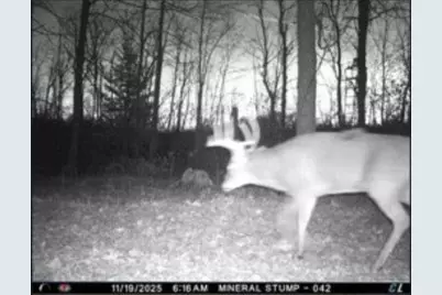 W17810 W Eland Road, Wittenberg, WI 54499 - Photo 38