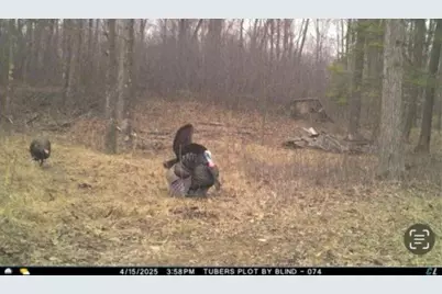 W17810 W Eland Road, Wittenberg, WI 54499 - Photo 44