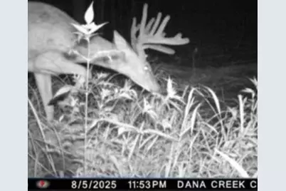 W17810 W Eland Road, Wittenberg, WI 54499 - Photo 2