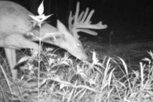 W17810 W Eland Rd, Wittenberg, WI 54499 - Photo 2