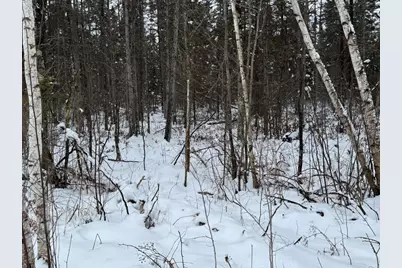 W17810 W Eland Road, Wittenberg, WI 54499 - Photo 78