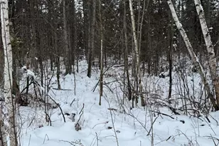 W17810 W Eland Rd, Wittenberg, WI 54499 - Photo 78