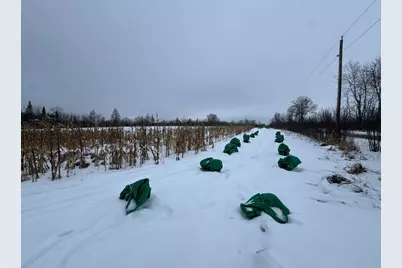 W17810 W Eland Road, Wittenberg, WI 54499 - Photo 40