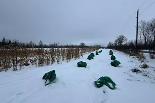 W17810 W Eland Rd, Wittenberg, WI 54499 - Photo 40