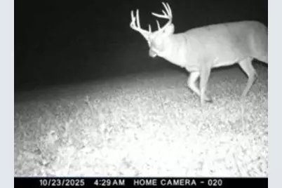 W17810 W Eland Road, Wittenberg, WI 54499 - Photo 36