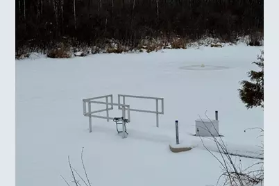 W17810 W Eland Road, Wittenberg, WI 54499 - Photo 32