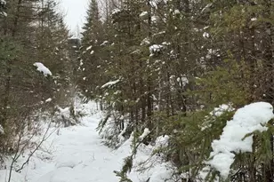 W17810 W Eland Rd, Wittenberg, WI 54499 - Photo 80