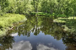 75500 Joe Rein Rd, Glidden, WI 54527 - Photo 38