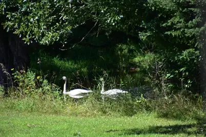 75500 Joe Rein Road, Glidden, WI 54527 - Photo 46
