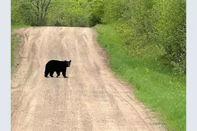 75500 Joe Rein Road, Glidden, WI 54527 - Photo 52