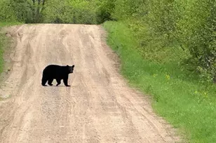 75500 Joe Rein Rd, Glidden, WI 54527 - Photo 52
