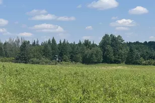 75500 Joe Rein Rd, Glidden, WI 54527 - Photo 60