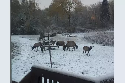 75500 Joe Rein Road, Glidden, WI 54527 - Photo 44