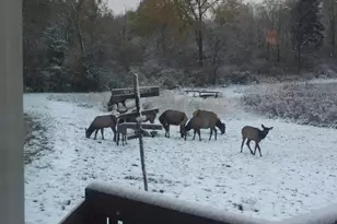 75500 Joe Rein Rd, Glidden, WI 54527 - Photo 44