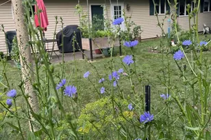 205 Alpine Dr, Shawano, WI 54166 - Photo 22