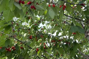 804 John St, Menasha, WI 54952 - Photo 26