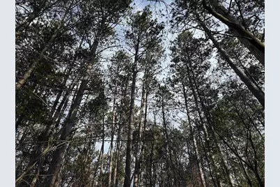 Settlement Road, Gillett, WI 54124 - Photo 12