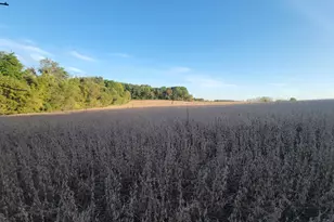 Hillcrest Rd, Fond du Lac, WI 54937 - Photo 6