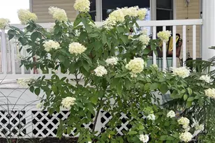 517 S Locust St, Appleton, WI 54914 - Photo 40