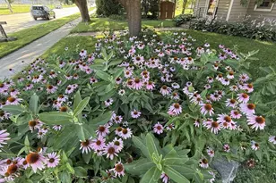 702 W 20th Ave, Oshkosh, WI 54902 - Photo 36