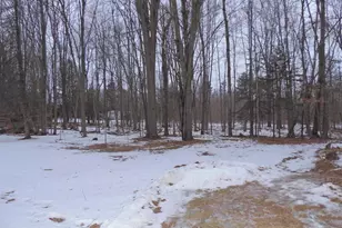 816 E Miller St, Suring, WI 54174 - Photo 8