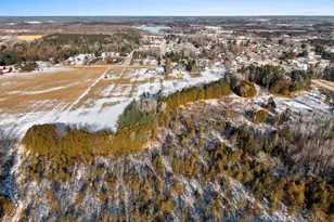 1007 Schabow St, Gresham, WI 54128 - Photo 88