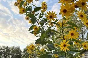 3405 CTH C, Pulaski, WI 54162 - Photo 34