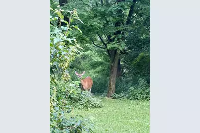 3405 Cth C, Pulaski, WI 54162 - Photo 38