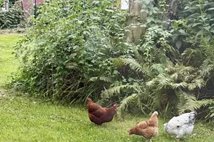 3405 CTH C, Pulaski, WI 54162 - Photo 30