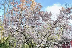 3405 CTH C, Pulaski, WI 54162 - Photo 46