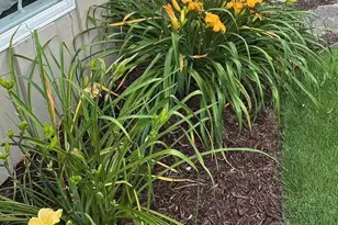 2308 N Appleton St, Appleton, WI 54911 - Photo 38