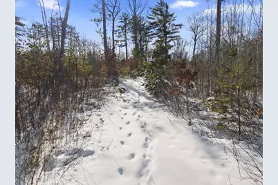 Meadowbrook Lane, Athelstane, WI 54104 - Photo 2