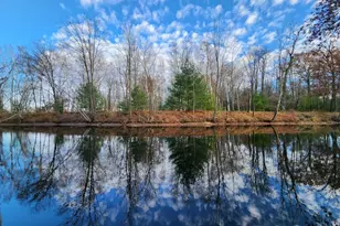 N1028 Chalet Dr, Waupaca, WI 54981 - Photo 6