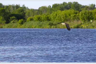 N1028 Chalet Drive, Waupaca, WI 54981 - Photo 14